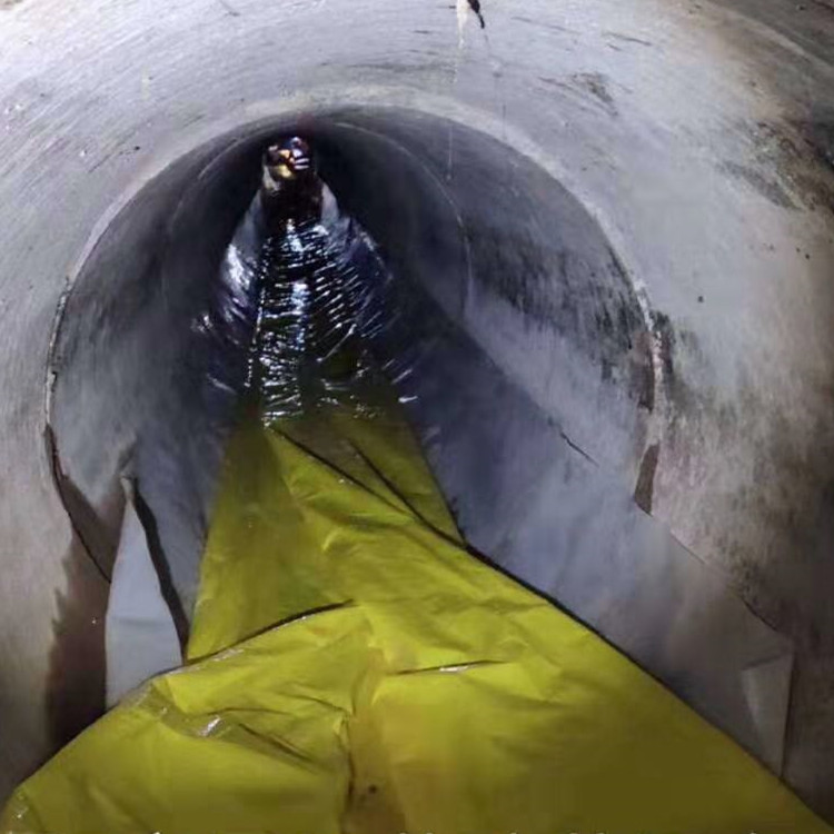 阆中管道光固化修复